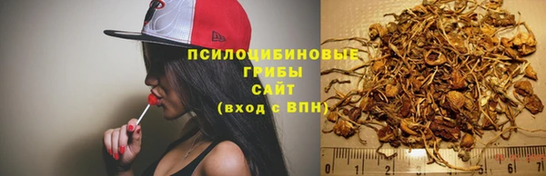 прущая мука Елабуга