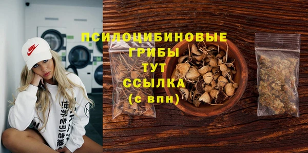 спайс Дмитриев