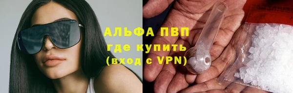 спайс Дмитриев