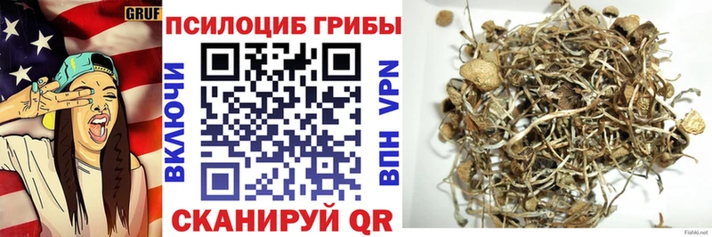 хочу наркоту  Кореновск  Псилоцибиновые грибы GOLDEN TEACHER 